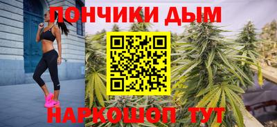 сатива Камышлов