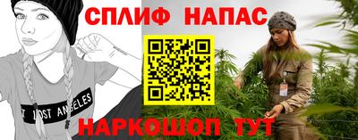 сатива Камышлов
