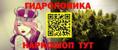 ECSTASY Кандалакша