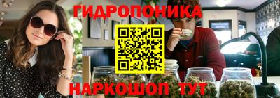 сатива Камышлов