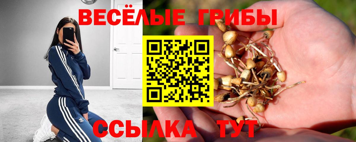 Котельники  Галлюциногенные грибы прущие грибы  Вход с VPN 