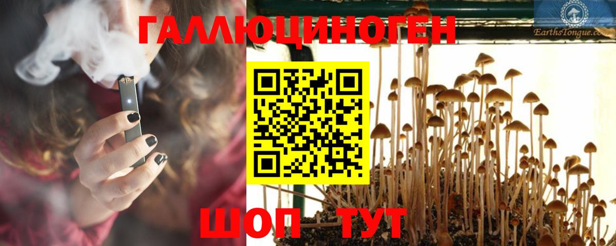 Галлюциногенные грибы GOLDEN TEACHER Котельники
